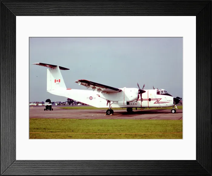 Framed Print : de Havilland Canada CC-115 Buffalo 115460 Framed Print : de Havilland Canada CC-115 Buffalo 115460