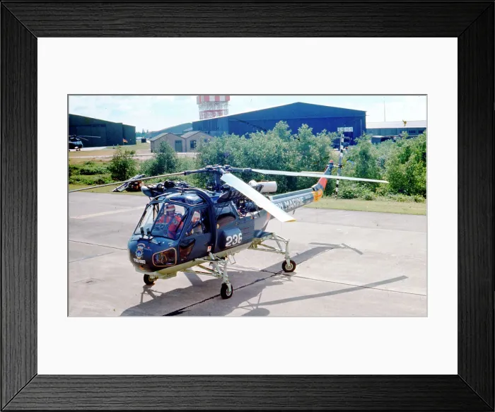 Framed Print : Westland AH-12A Wasp 236 Framed Print : Westland AH-12A Wasp 236