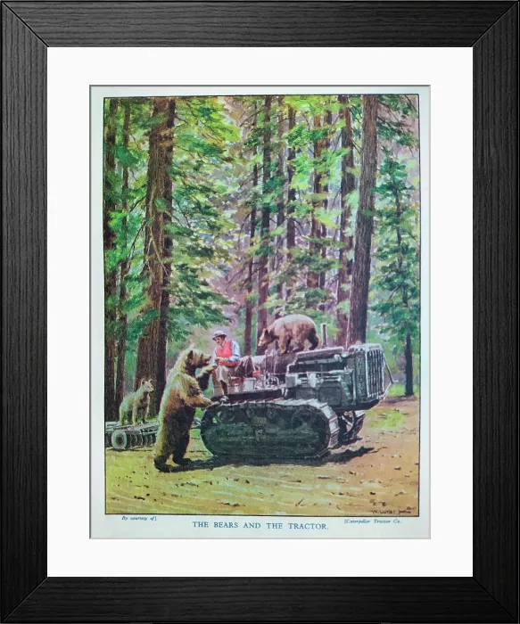 Framed Print : The Motor Picture Book, The Bears and the Tractor Framed Print : The Motor Picture Book, The Bears and the Tractor