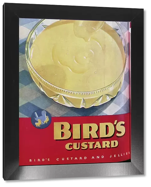 Advert for Bird's Custard, highlighting its nutritional value when served with rhubarb. Date: 1932