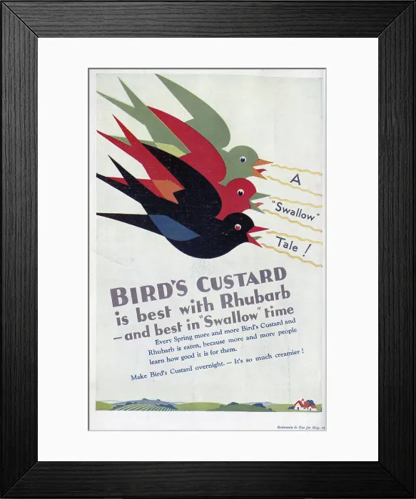 Framed Print : Advert for Bird's Custard, highlighting its nutritional value when served with rhubarb. Date: 1932 Framed Print : Advert for Bird's Custard, highlighting its nutritional value when served with rhubarb. Date: 1932