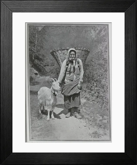 Framed Print : Alpine woman with headscarf, pipe, large basket and goat, outdoor scenic photograph. Captioned Beauty and the Beast, and an Alpine Discovery'. Date: 1910 Framed Print : Alpine woman with headscarf, pipe, large basket and goat, outdoor scenic photograph. Captioned Beauty and the Beast, and an Alpine Discovery'. Date: 1910