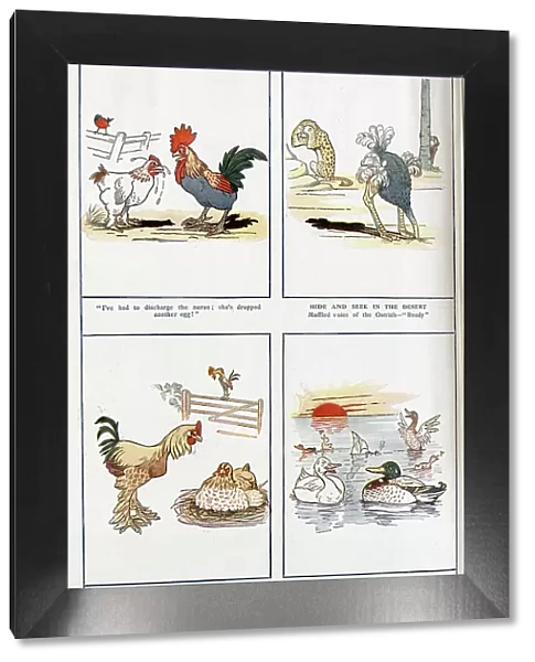 Cartoon illustrations in colour by G H Dodd, captioned, Fun Among Feathers'. Showing poultry, ostrich, leopard and ducks. With descriptions and quotations, 'I've had to discharge the nurse; she's dropped another egg