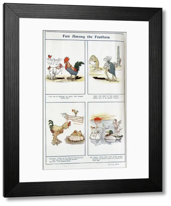 Framed Print : Cartoon illustrations in colour by G H Dodd, captioned, Fun Among Feathers'. Showing poultry, ostrich, leopard and ducks. With descriptions and quotations, I've had to discharge the nurse; she's dropped another egg Framed Print : Cartoon illustrations in colour by G H Dodd, captioned, Fun Among Feathers'. Showing poultry, ostrich, leopard and ducks. With descriptions and quotations, I've had to discharge the nurse; she's dropped another egg