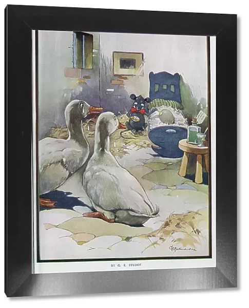 Colour illustration by G E Studdy, captioned The Doctor'. Showing scene in barn, with rodent doctor listening to egg in cot, whilst anxious geese parents look