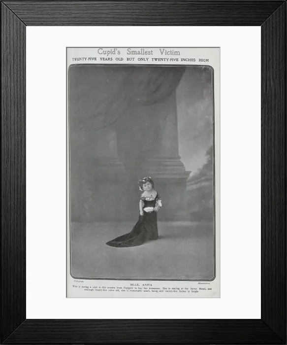 Framed Print : Mlle Anita, actress with dwarfism, theatrical portrait on stage in velvet gown. Captioned, Cupid's Smallest Victim: twenty-five years old but only twenty-five inches high Framed Print : Mlle Anita, actress with dwarfism, theatrical portrait on stage in velvet gown. Captioned, Cupid's Smallest Victim: twenty-five years old but only twenty-five inches high