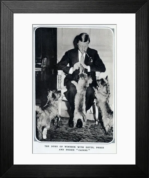 Framed Print : Duke of Windsor with dogs Framed Print : Duke of Windsor with dogs