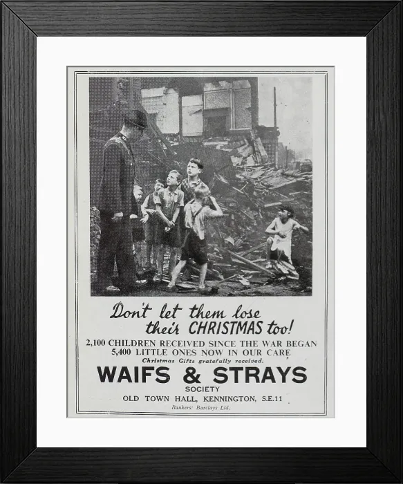 Framed Print : Waifs and Strays appeal Framed Print : Waifs and Strays appeal