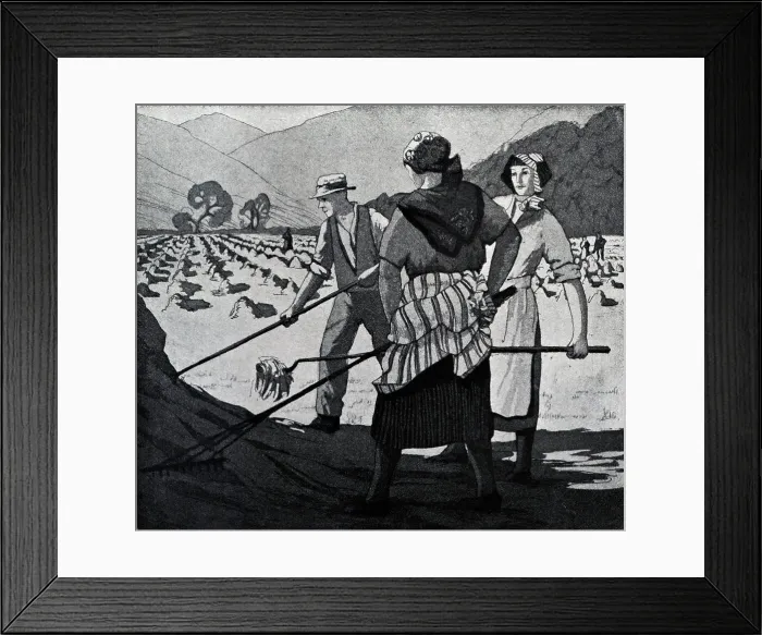 Framed Print : Field Workers Framed Print : Field Workers