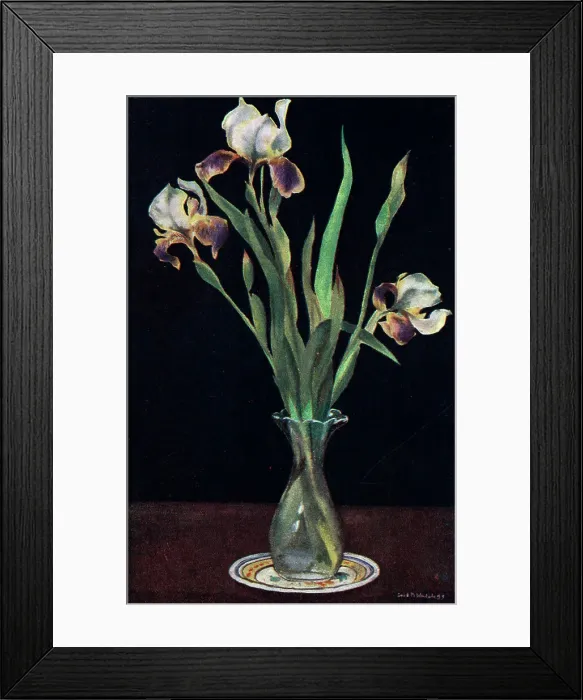 Framed Print : Iris. A Still life painting of some Irises in a glass vase. Date: circa 1928 Framed Print : Iris. A Still life painting of some Irises in a glass vase. Date: circa 1928