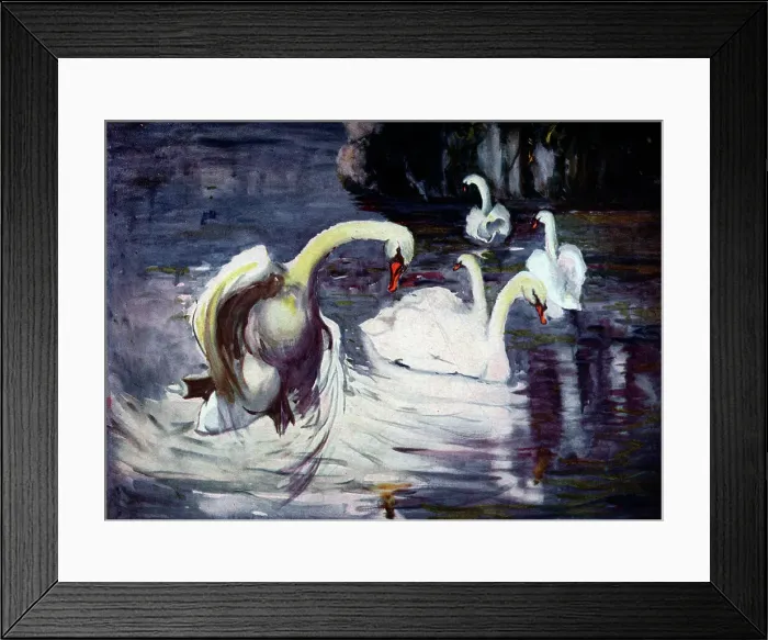 Framed Print : Swans in the Lake Framed Print : Swans in the Lake