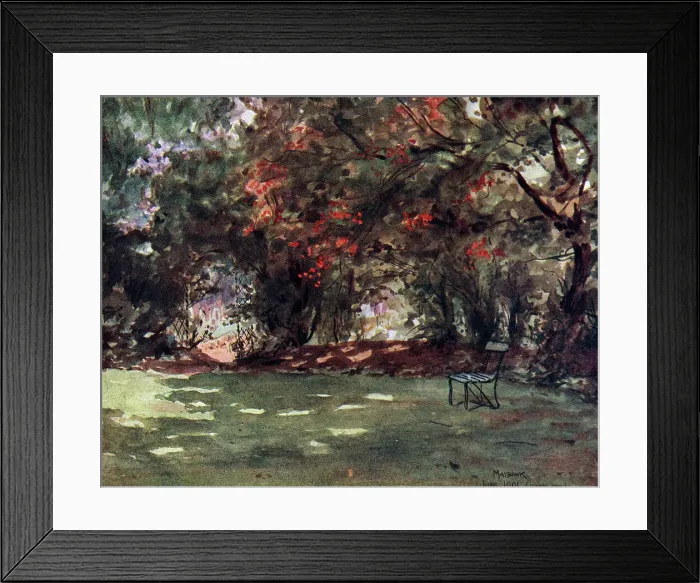 Framed Print : Oil painting of a woodland clearing Framed Print : Oil painting of a woodland clearing