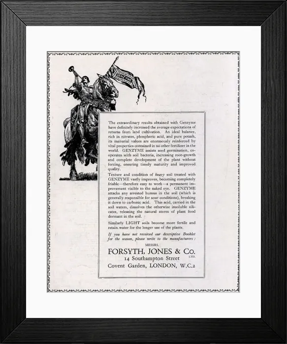 Framed Print : Forsyth, Jones and Co Advertisement Framed Print : Forsyth, Jones and Co Advertisement