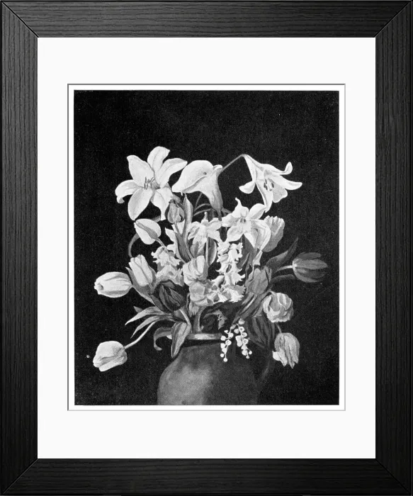 Framed Print : Still Life Flowers Framed Print : Still Life Flowers
