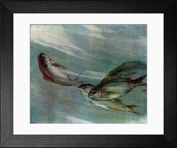 Framed Print : Fish. The influence of Western naturalism upon the Japanese tradition of Framed Print : Fish. The influence of Western naturalism upon the Japanese tradition of