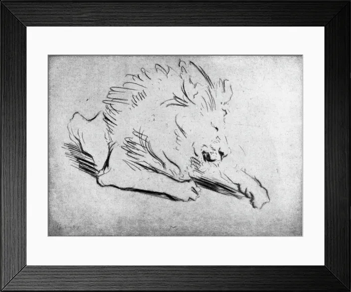Framed Print : Lion Etching Framed Print : Lion Etching