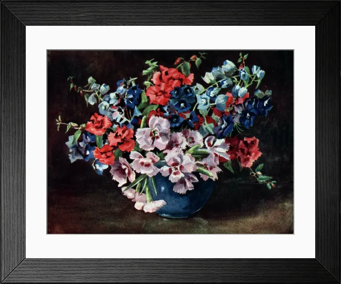 Framed Print : Still Life Flowers Framed Print : Still Life Flowers