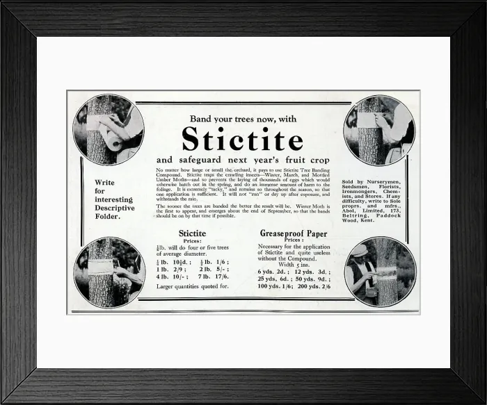 Framed Print : Stictite Advertisement Framed Print : Stictite Advertisement