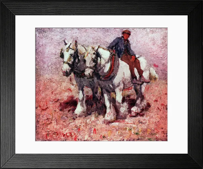 Framed Print : Two White Horses