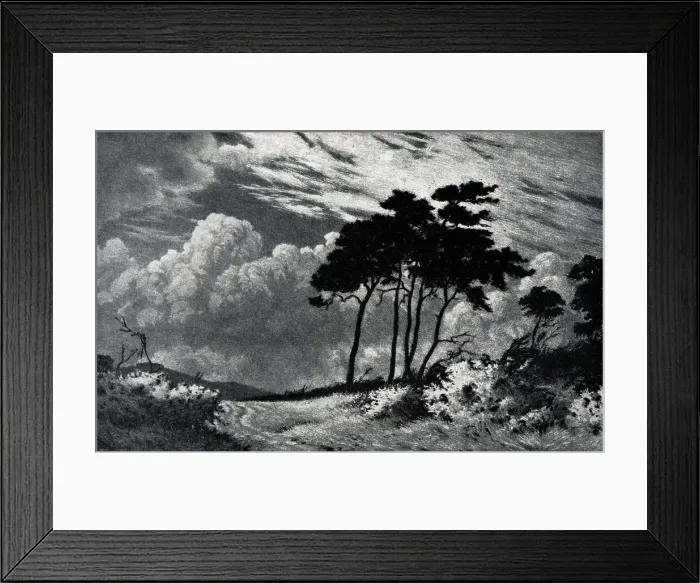 Framed Print : Gorse in Bloom Framed Print : Gorse in Bloom