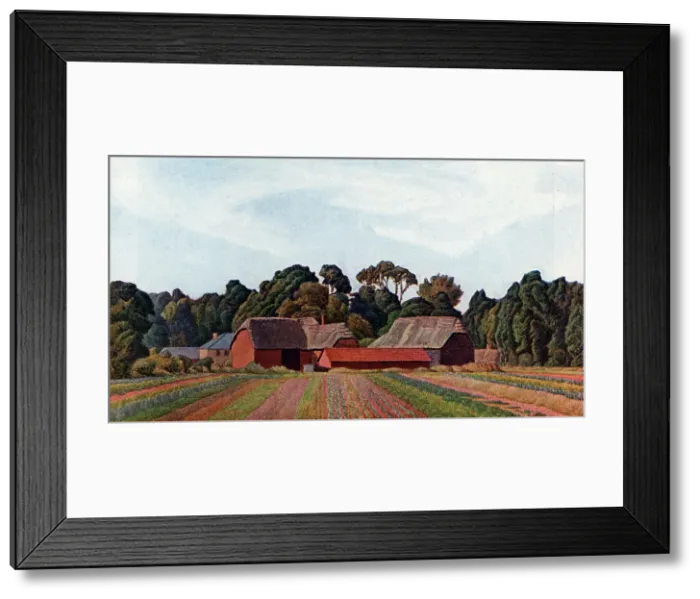 Framed Print : Farm at Holdenhurst, Hampshire Framed Print : Farm at Holdenhurst, Hampshire
