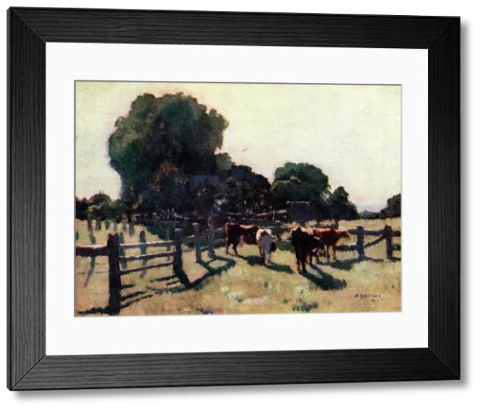 Framed Print : Frost Morning Framed Print : Frost Morning