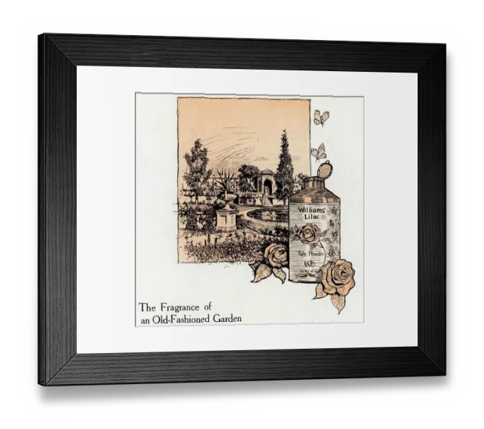Framed Print : Williams Talc Powder Advertisement Framed Print : Williams Talc Powder Advertisement