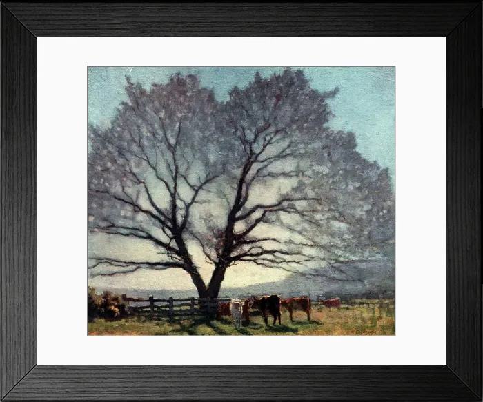 Framed Print : Frosty Morning Framed Print : Frosty Morning