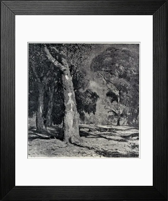 Framed Print : Darling River Framed Print : Darling River