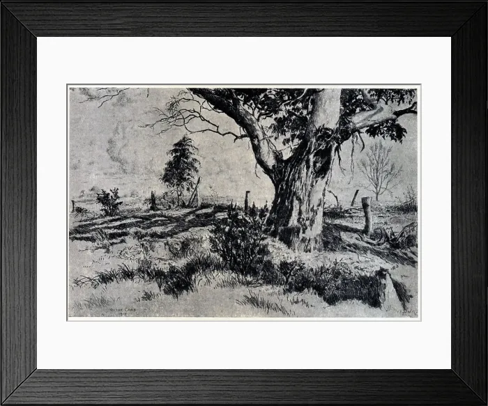 Framed Print : The Patriarch Framed Print : The Patriarch