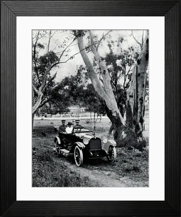 Framed Print : Dalgety & Company Advertisement Framed Print : Dalgety & Company Advertisement