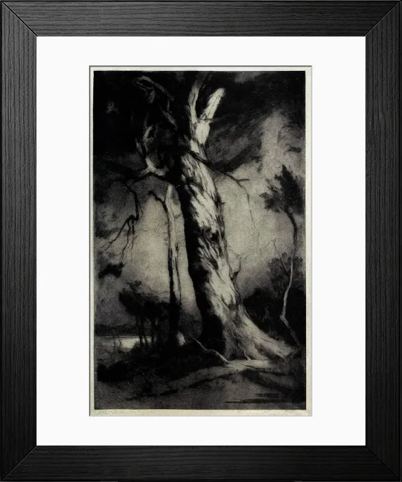 Framed Print : The Monarch Framed Print : The Monarch