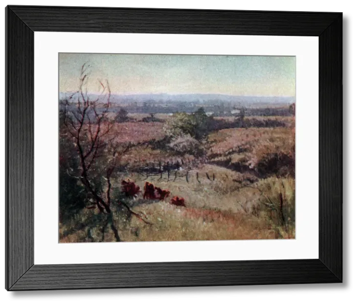Framed Print : Clearing Mists Framed Print : Clearing Mists