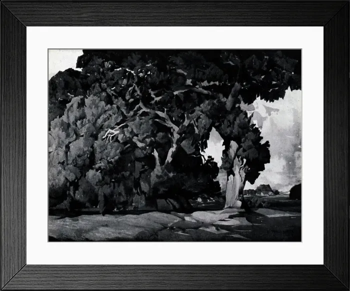 Framed Print : Oak Tree, California Framed Print : Oak Tree, California