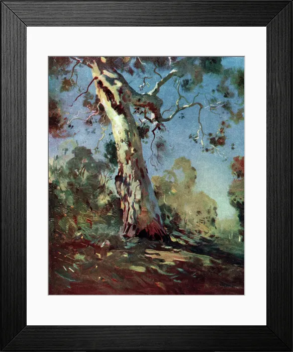 Framed Print : Morning. A landscape oil painting showing a large tree in a woodland clearing Framed Print : Morning. A landscape oil painting showing a large tree in a woodland clearing