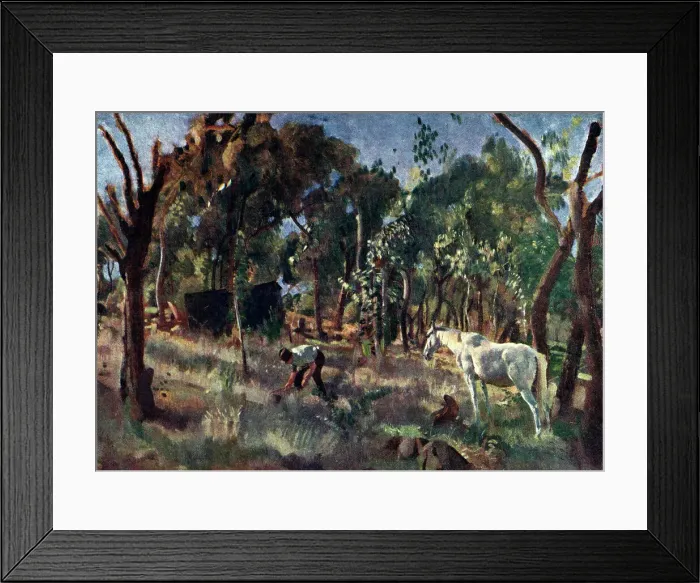 Framed Print : Bush Landscape Framed Print : Bush Landscape
