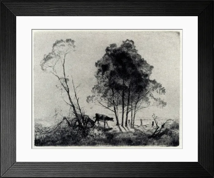 Framed Print : The Wattles Framed Print : The Wattles