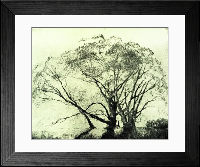 Framed Print : The Willows Framed Print : The Willows