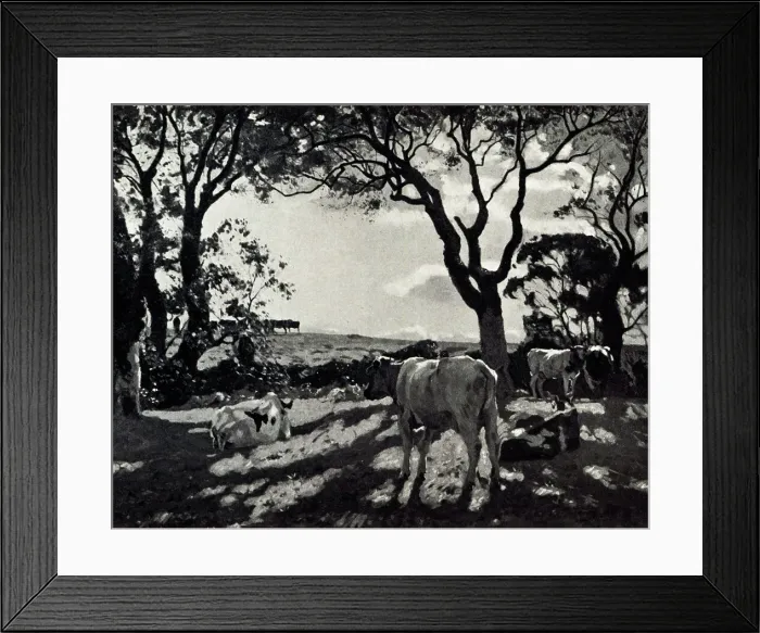 Framed Print : October Morning Framed Print : October Morning