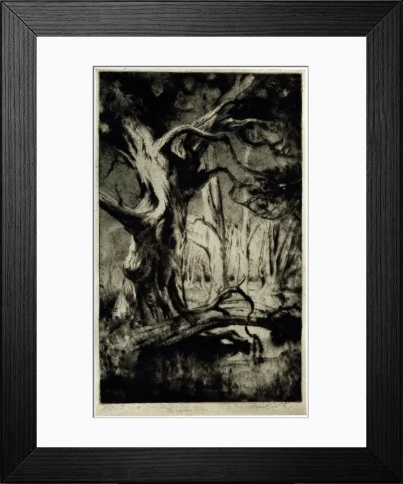 Framed Print : The Water's Edge Framed Print : The Water's Edge