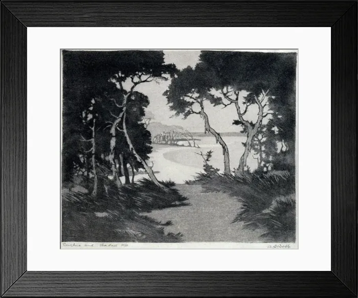Framed Print : Sunshine and Shadow Framed Print : Sunshine and Shadow