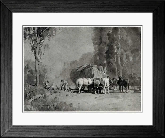 Framed Print : The Teamster Framed Print : The Teamster