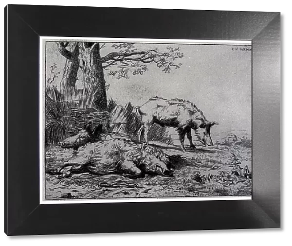 Two Boars. An etching of two rugged boars, one standing