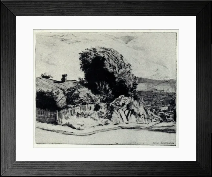 Framed Print : Sunny Morning Framed Print : Sunny Morning