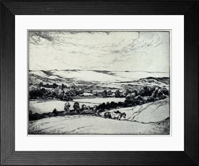 Framed Print : Cultivation Paddock Framed Print : Cultivation Paddock