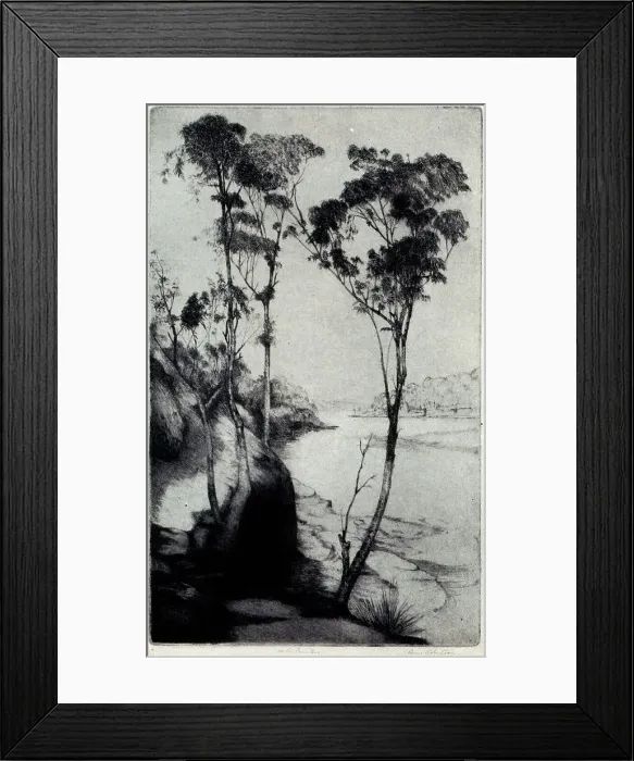 Framed Print : On The Lane Cove Framed Print : On The Lane Cove