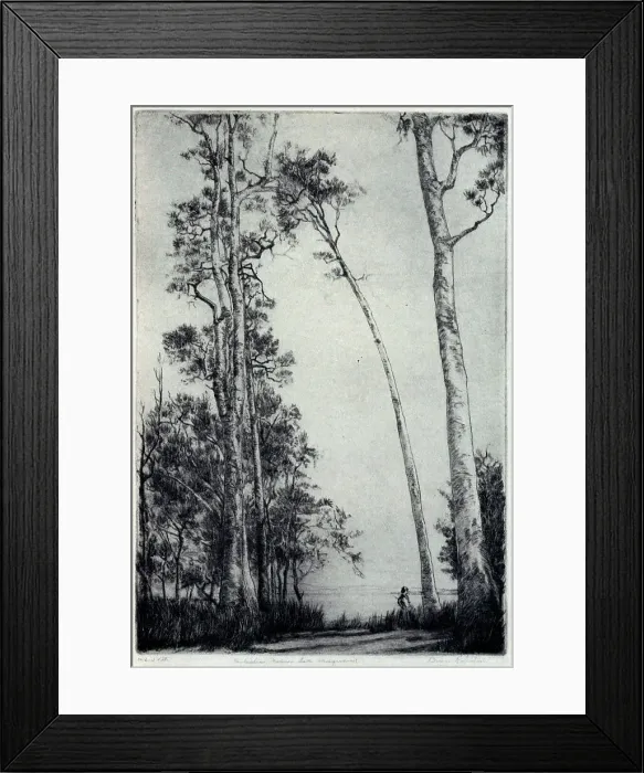 Framed Print : Australian Natives Framed Print : Australian Natives