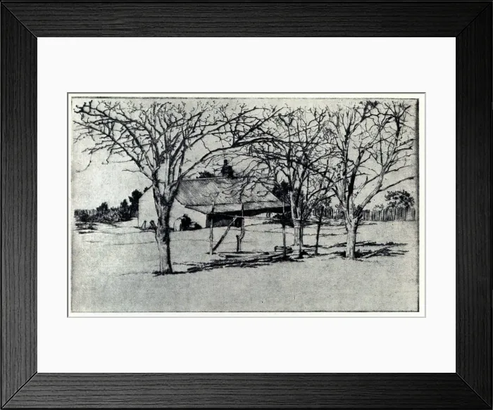Framed Print : Nature's Tracery, Autumn Framed Print : Nature's Tracery, Autumn