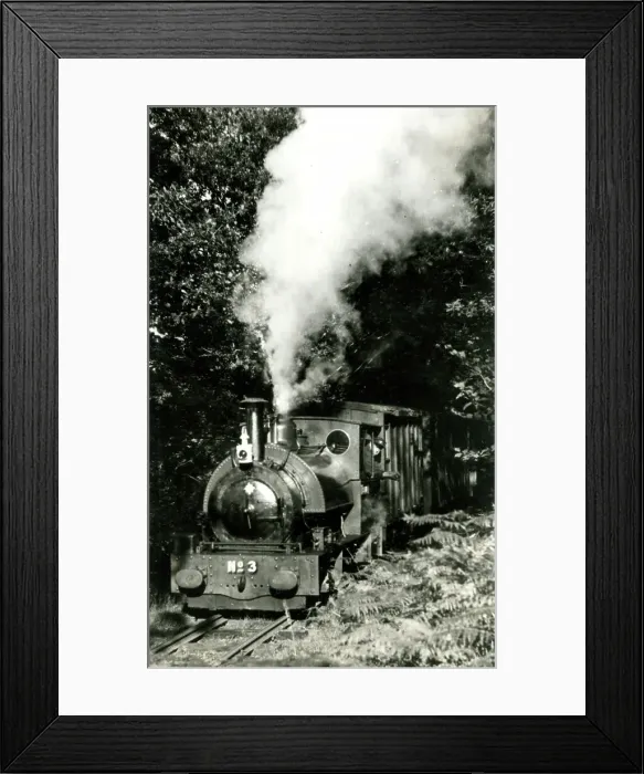 Framed Print : Talyllyn Railway steam locomotive No. 3 Sir Haydn Framed Print : Talyllyn Railway steam locomotive No. 3 Sir Haydn