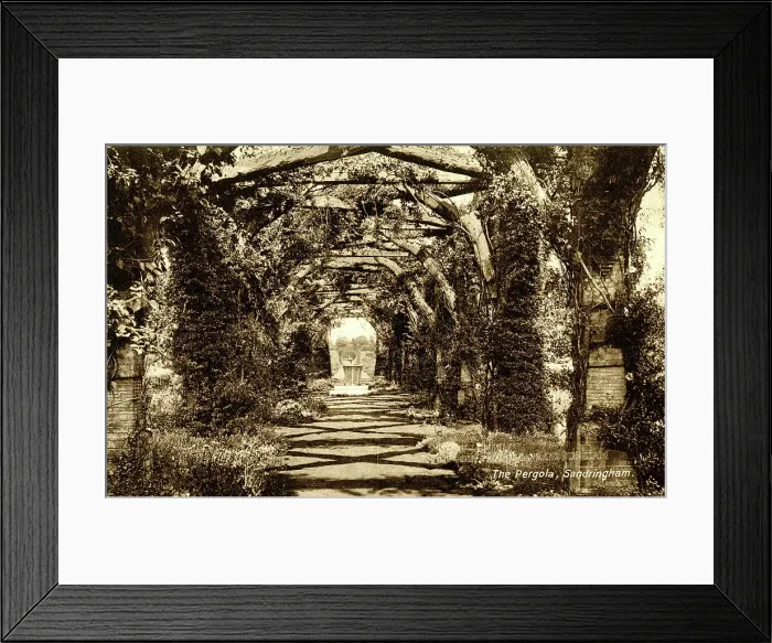Framed Print : The Pergola, Sandringham, Norfolk Framed Print : The Pergola, Sandringham, Norfolk